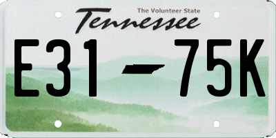 TN license plate E3175K