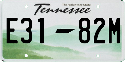 TN license plate E3182M