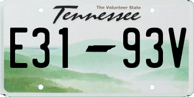TN license plate E3193V
