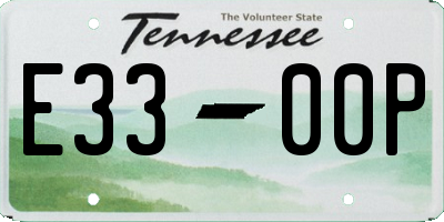 TN license plate E3300P