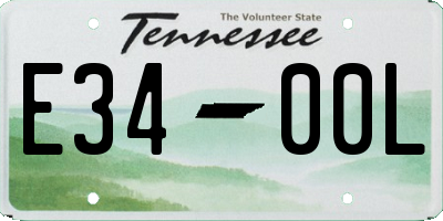 TN license plate E3400L
