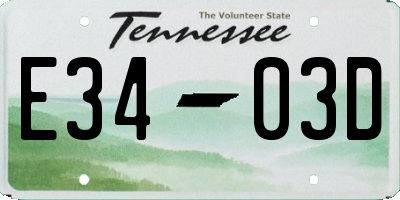 TN license plate E3403D