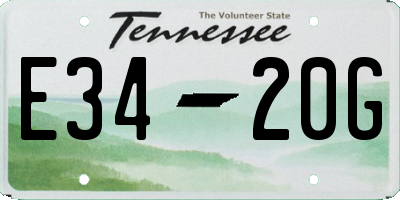 TN license plate E3420G