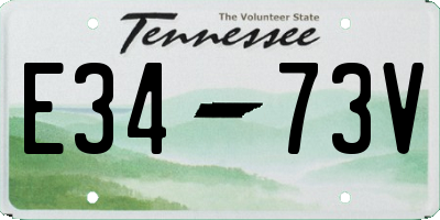 TN license plate E3473V