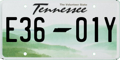 TN license plate E3601Y