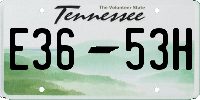 TN license plate E3653H