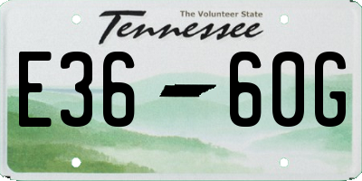 TN license plate E3660G