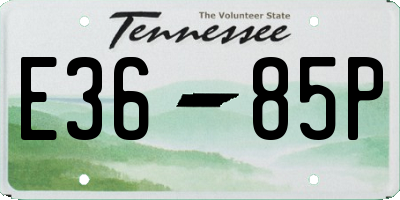 TN license plate E3685P