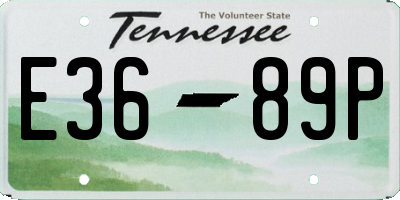 TN license plate E3689P
