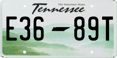 TN license plate E3689T