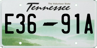 TN license plate E3691A
