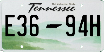 TN license plate E3694H