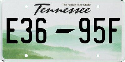 TN license plate E3695F