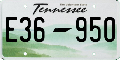 TN license plate E3695O