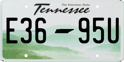 TN license plate E3695U