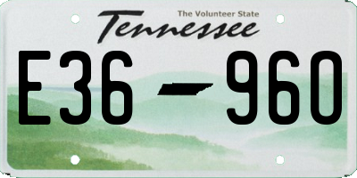 TN license plate E3696O