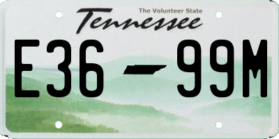 TN license plate E3699M