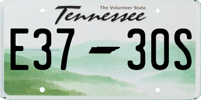 TN license plate E3730S