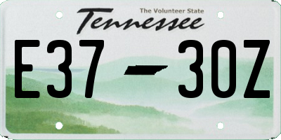 TN license plate E3730Z