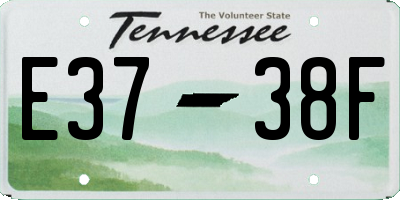 TN license plate E3738F