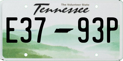 TN license plate E3793P