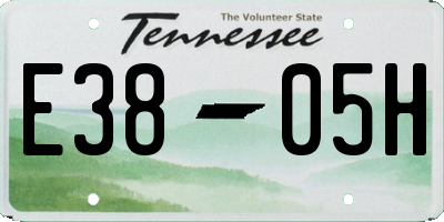 TN license plate E3805H