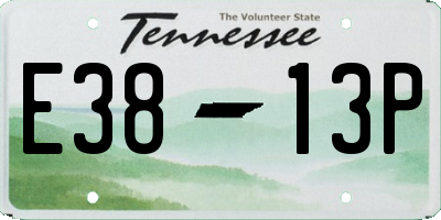 TN license plate E3813P