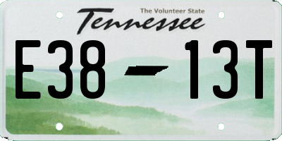 TN license plate E3813T