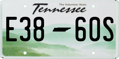 TN license plate E3860S