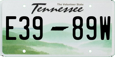 TN license plate E3989W