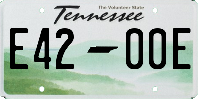 TN license plate E4200E