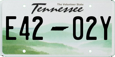 TN license plate E4202Y