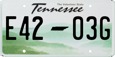 TN license plate E4203G