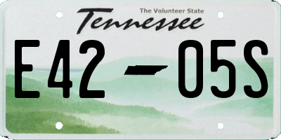 TN license plate E4205S