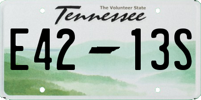 TN license plate E4213S
