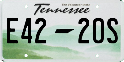 TN license plate E4220S