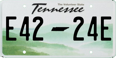 TN license plate E4224E
