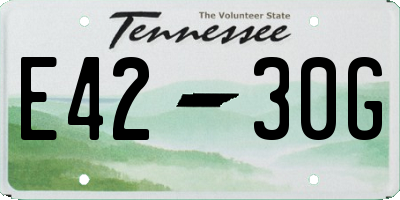 TN license plate E4230G