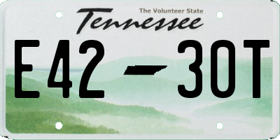 TN license plate E4230T