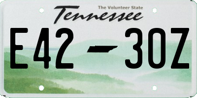 TN license plate E4230Z