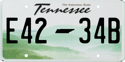 TN license plate E4234B