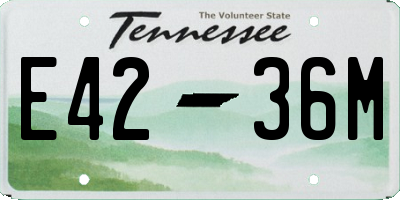 TN license plate E4236M