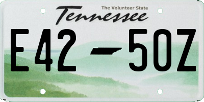 TN license plate E4250Z