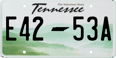 TN license plate E4253A