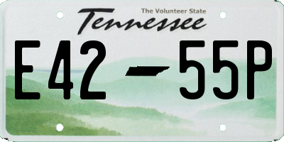 TN license plate E4255P