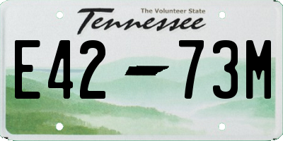 TN license plate E4273M