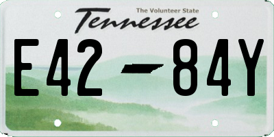 TN license plate E4284Y