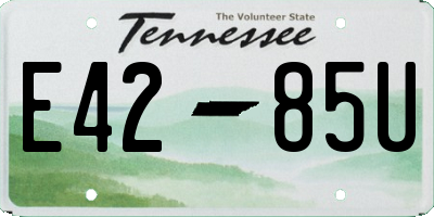 TN license plate E4285U