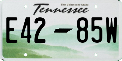 TN license plate E4285W