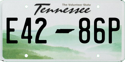 TN license plate E4286P
